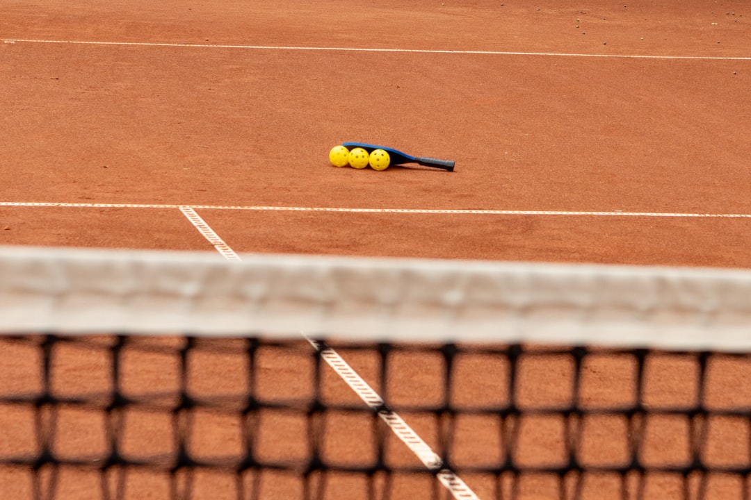 Photo Pickleball court